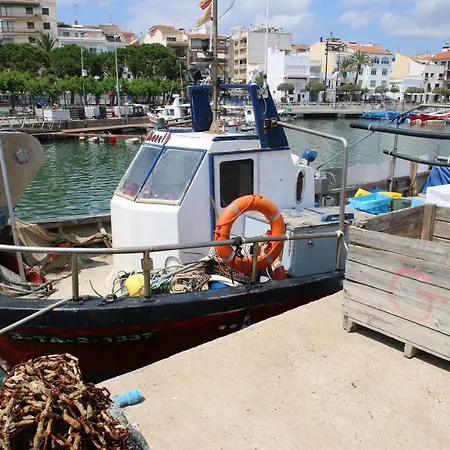 Luisa Cambrils
